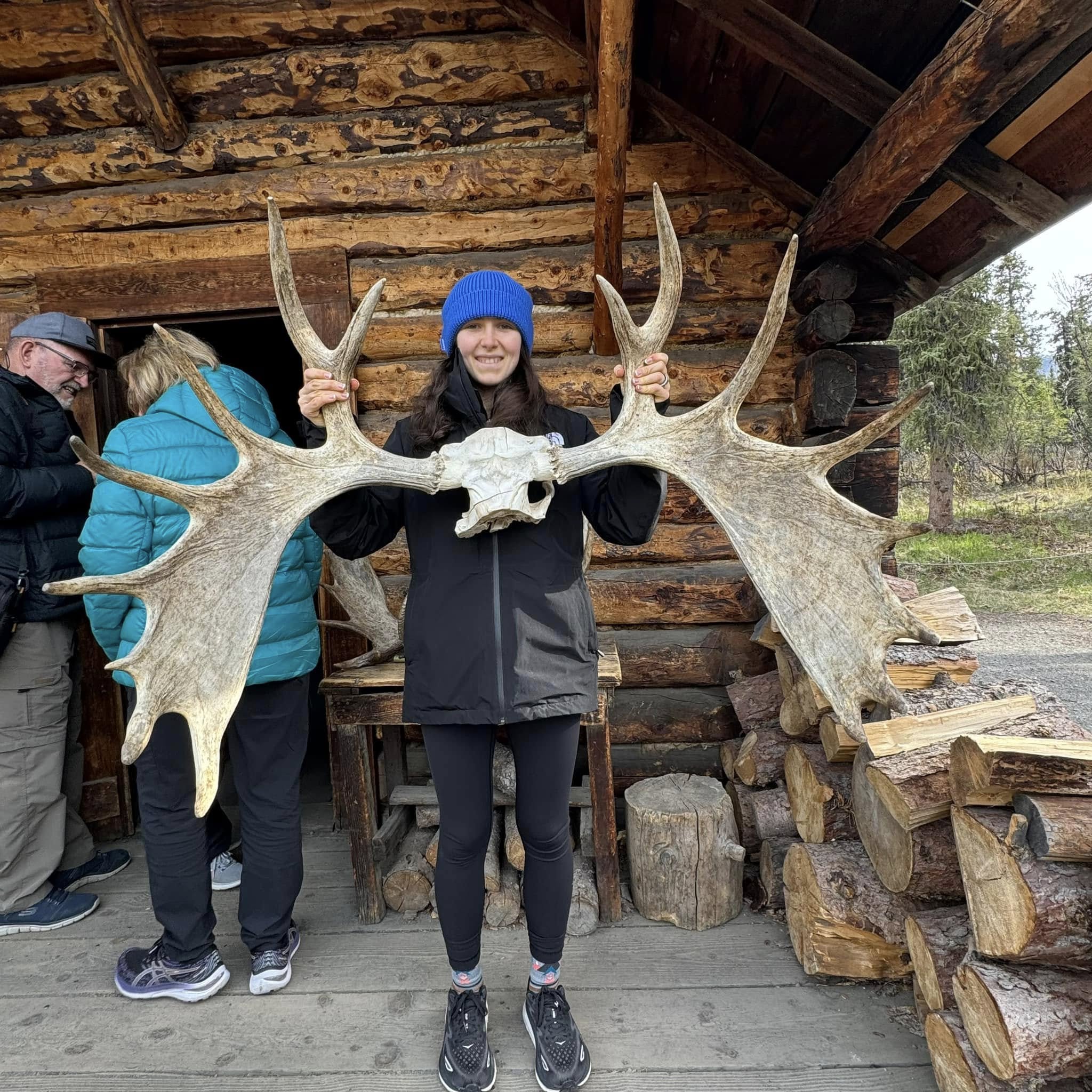 Alaska 2024 Denali national park