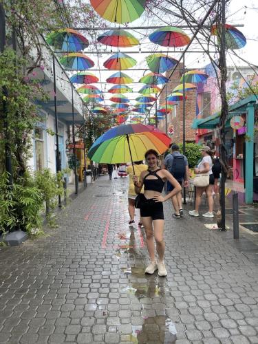 Umbrella street in Puerto Plata